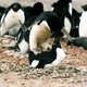 Image for article titled 10 Things You Probably Didn't Know About Sex in the Animal Kingdom